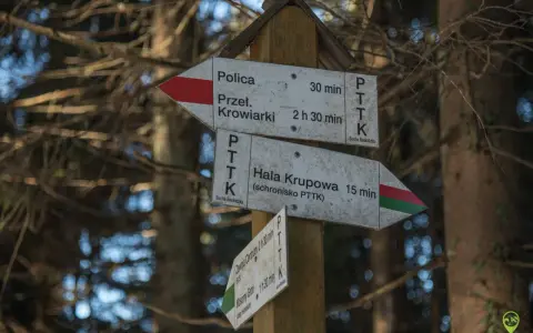 Drewniana polica szlaki turystyczne PTTK wskaże drogę do Hali Krupowej (15 min) lub Przeł. Krowiarki (2h 30 min).