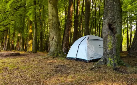Namiot rozbity na leśnej polanie, gotowy na nocleg. Spanie w lesie to przygoda!