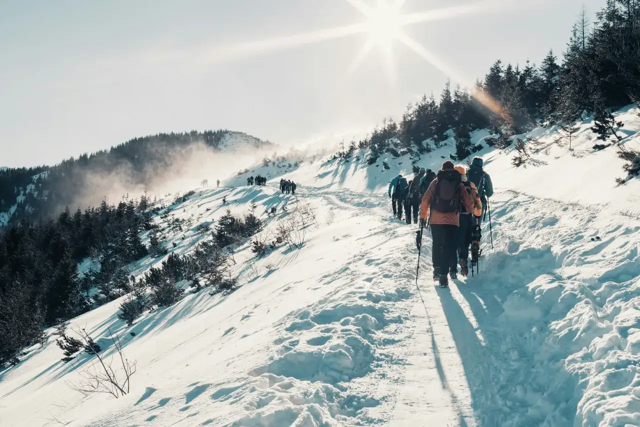 Grupa turyst&oacute;w wędruje ośnieżonym szlakiem. Słońce świeci jasno, tworząc długie cienie. Idealne warunki na tatry zimą dla początkujących.