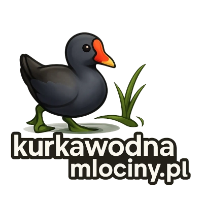 kurkawodnamlociny.pl