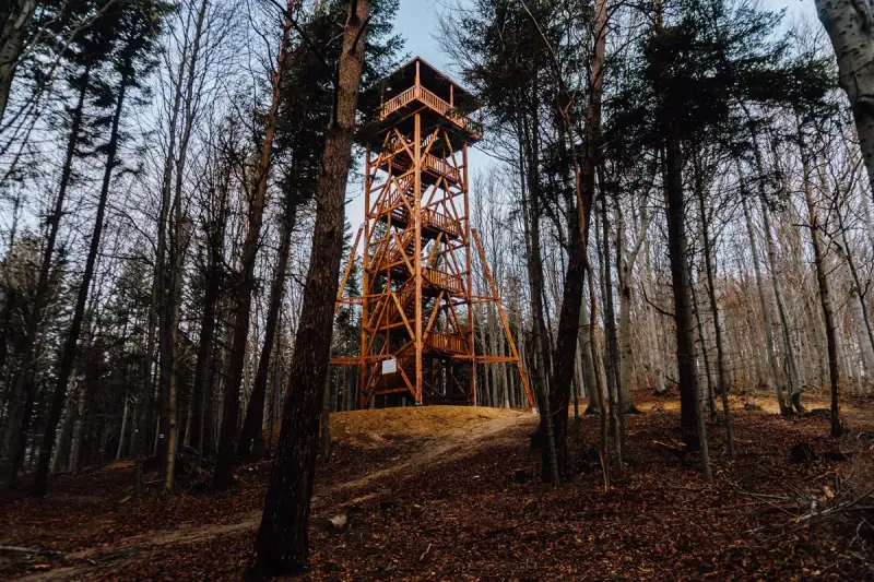 Drewniana wieża widokowa Ferdel wznosi się pośród jesiennego lasu, zapraszając do podziwiania panoramy.